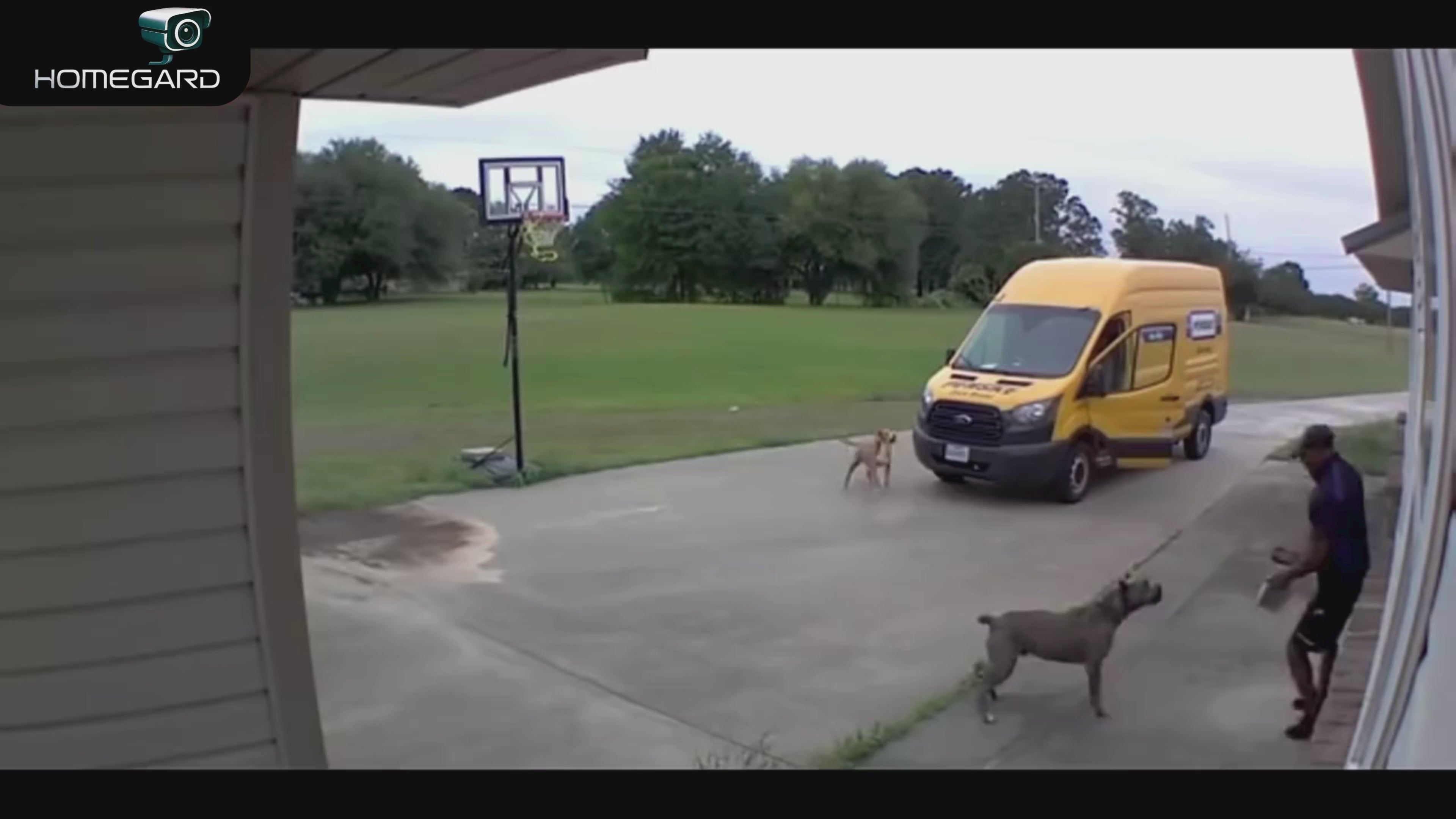 Charger la vidéo : 